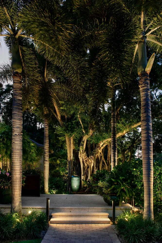 Port Royal Residence I: garden banyan night